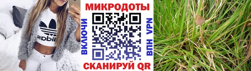 Псилоцибиновые грибы мухоморы  Полысаево 