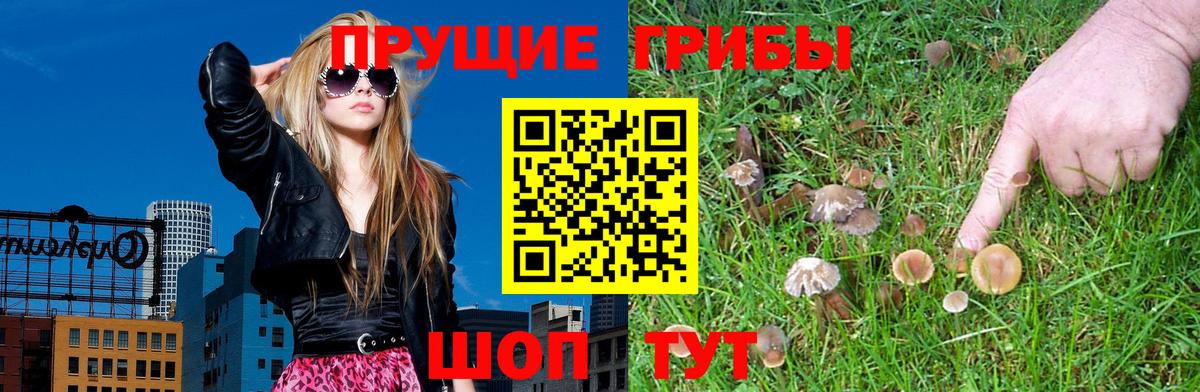 Псилоцибиновые грибы мицелий  Вход с VPN  Полысаево  Галлюциногенные грибы Psilocybine cubensis 