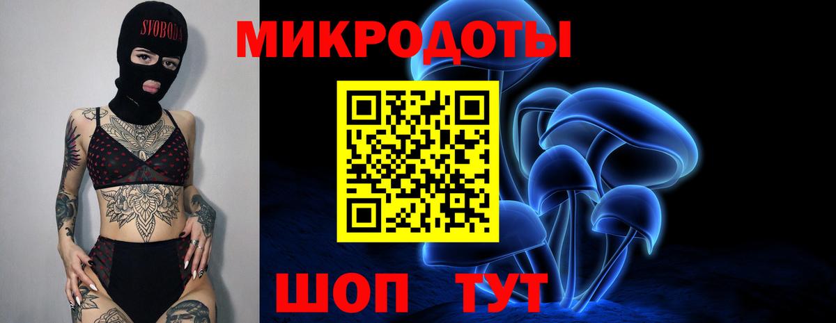 Псилоцибиновые грибы мицелий Полысаево